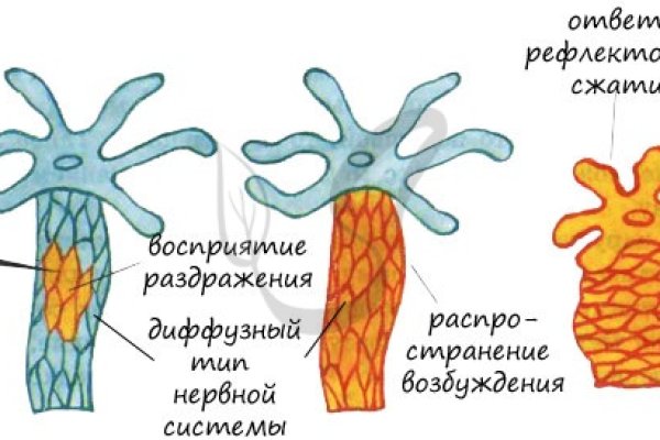 Актуальная ссылка на кракен kraken