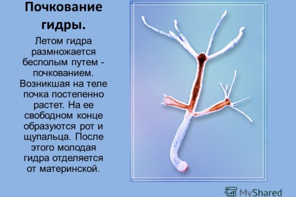 Кракен ссылка kra