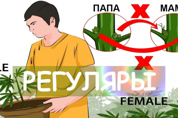 Работающий сайт кракен