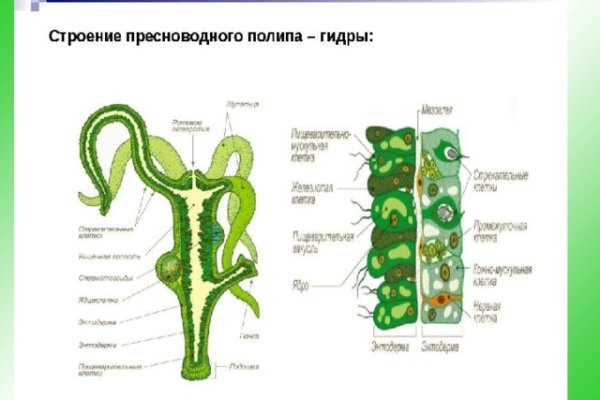 Как восстановить кракен