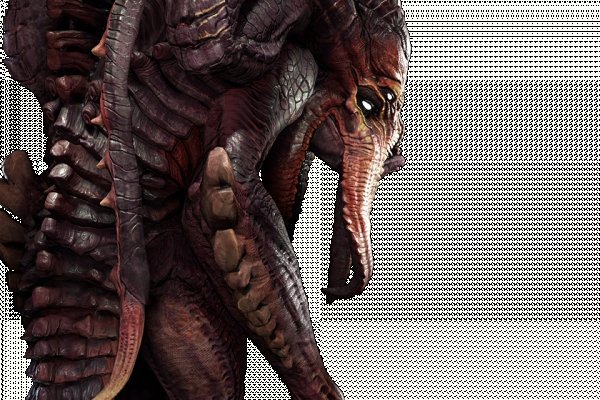 Kraken 13at