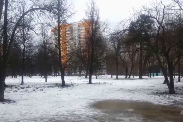 Как зайти на кракен без тора