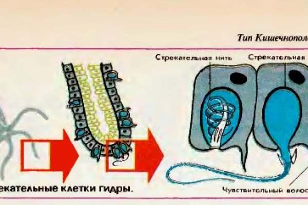 Сайт кракен тор браузера