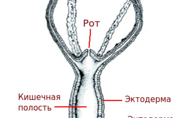 Tor kraken маркет