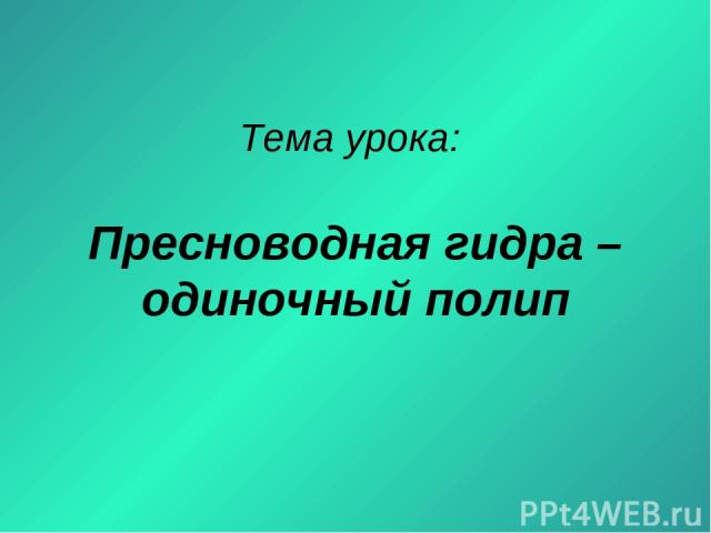 Кракен мага